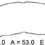 past (d) celica (94 98) rav 4(96 00)